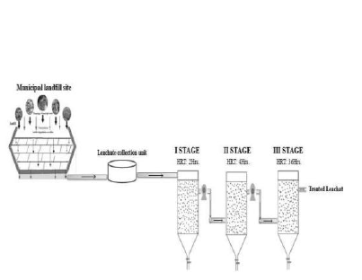 Biosurfactant Nano-Ferric Ionosphere Scaffold for Landfill Leachate Treatment