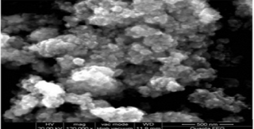 Biphasic Biosurfactant-Biocatalyst Conjugated Magnetic Nanometal Oxide Composition for Degradation of Hydrocarbons and Vegetable Oils Dispersed in Wastes